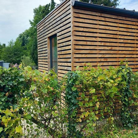 Lodge Au Vent Savigne-l'Eveque Eksteriør bilde